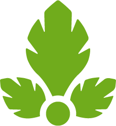 Getting Started with Parse.ly