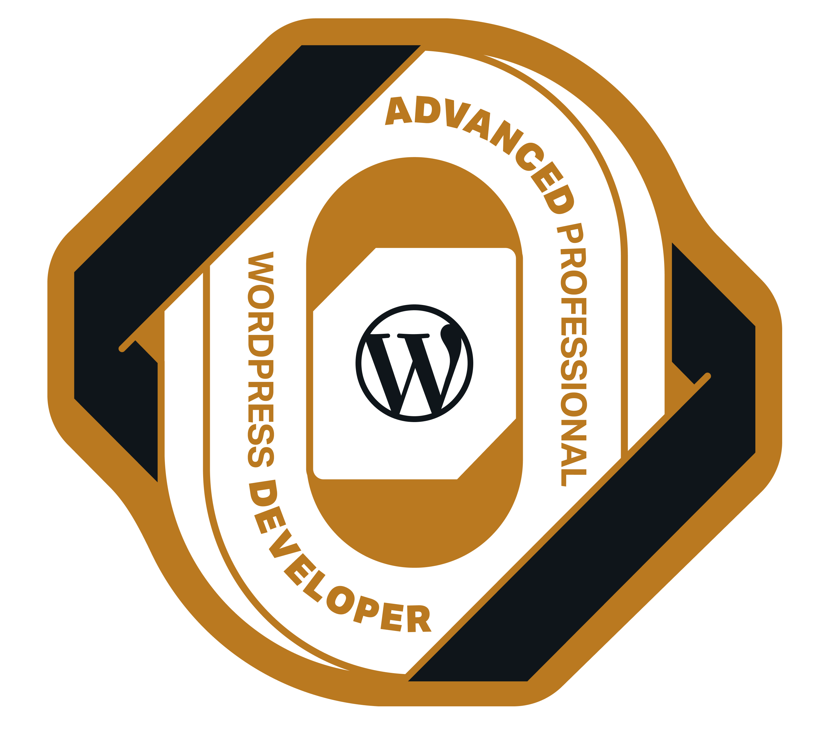 Advanced Professional WordPress Developer – VIP Learn